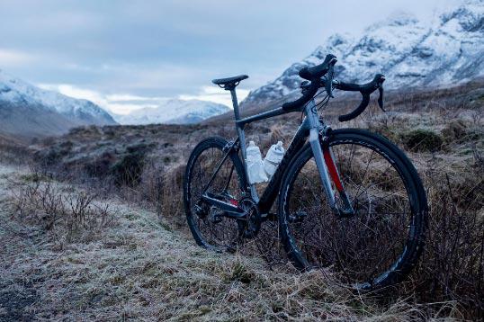 Bura Outside On Heather